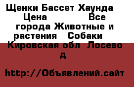 Щенки Бассет Хаунда  › Цена ­ 25 000 - Все города Животные и растения » Собаки   . Кировская обл.,Лосево д.